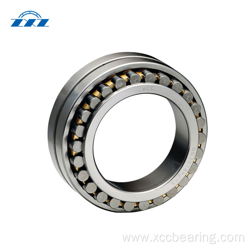 Double Row Cylindrical Roller Bearing